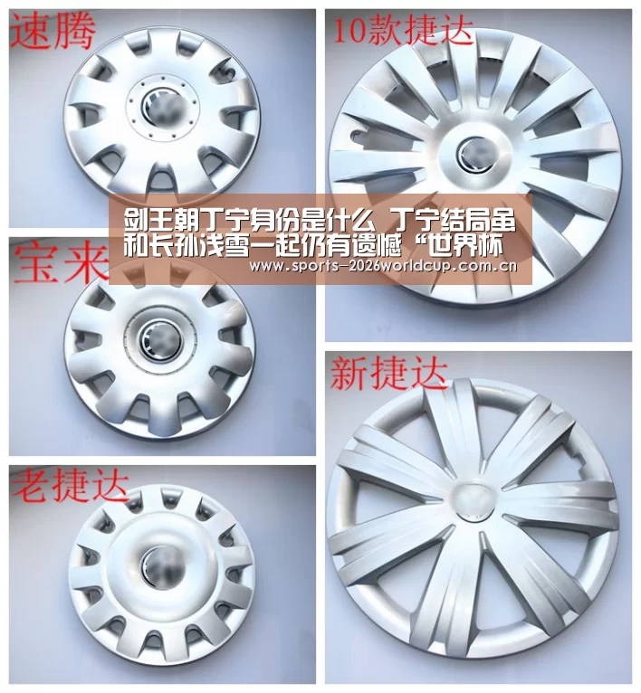 剑王朝丁宁身份是什么 丁宁结局虽和长孙浅雪一起仍有遗憾“世界杯投注”(图2) 世界杯投注