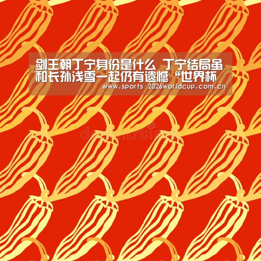 剑王朝丁宁身份是什么 丁宁结局虽和长孙浅雪一起仍有遗憾“世界杯投注”(图3) 世界杯投注