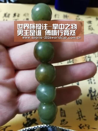 世界杯投注-掌中之物男主是谁 傅慎行竟然是男二小五才是男一号(图4) 世界杯投注