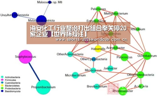 海安化工行业整治打出组合拳关停20家企业【世界杯投注】(图3) 世界杯投注