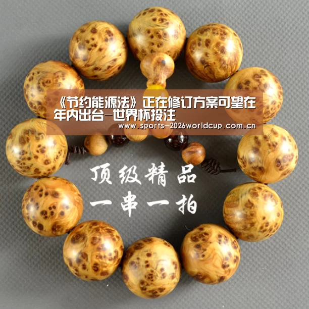 《节约能源法》正在修订方案可望在年内出台-世界杯投注(图2) 世界杯投注