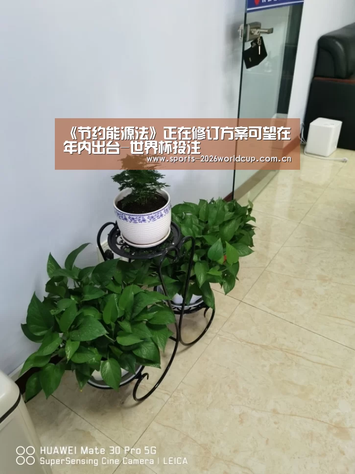 《节约能源法》正在修订方案可望在年内出台-世界杯投注(图3) 世界杯投注
