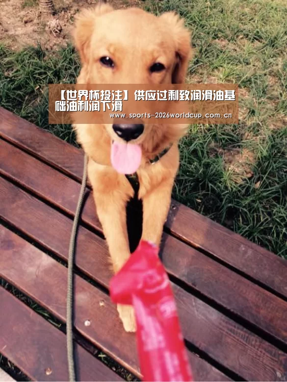 【世界杯投注】供应过剩致润滑油基础油利润下滑(图3) 世界杯投注