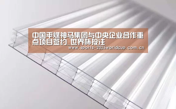 中国平煤神马集团与中央企业合作重点项目签约_世界杯投注(图3) 世界杯投注