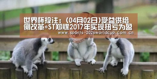 世界杯投注:(04月02日)受益供给侧改革*ST郑煤2017年实现扭亏为盈(图2) 世界杯投注