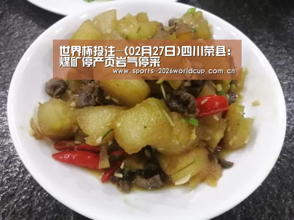 世界杯投注-(02月27日)四川荣县:煤矿停产页岩气停采(图3) 世界杯投注