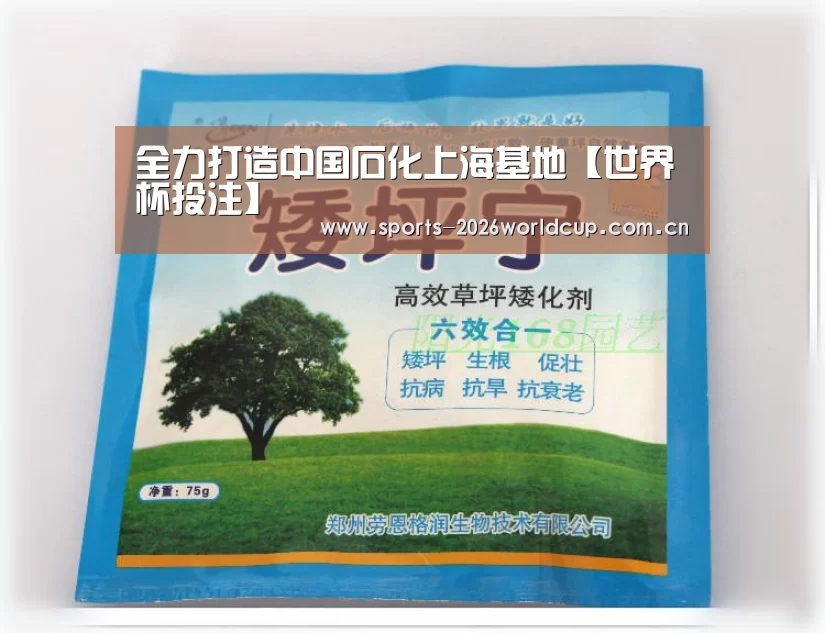 全力打造中国石化上海基地【世界杯投注】(图2) 世界杯投注